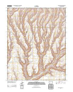Moccasin Mesa Colorado Historical topographic map, 1:24000 scale, 7.5 X 7.5 Minute, Year 2013