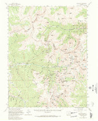 Montezuma Colorado Historical topographic map, 1:62500 scale, 15 X 15 Minute, Year 1958