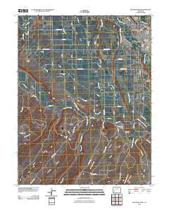 Montrose West Colorado Historical topographic map, 1:24000 scale, 7.5 X 7.5 Minute, Year 2010
