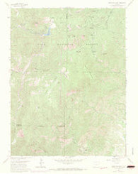 Mount Big Chief Colorado Historical topographic map, 1:24000 scale, 7.5 X 7.5 Minute, Year 1961