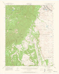 Mount Big Chief Colorado Historical topographic map, 1:62500 scale, 15 X 15 Minute, Year 1948