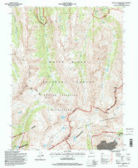 Mount Champion Colorado Historical topographic map, 1:24000 scale, 7.5 X 7.5 Minute, Year 1994