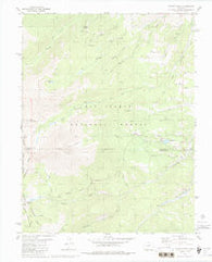 Mount Ouray Colorado Historical topographic map, 1:24000 scale, 7.5 X 7.5 Minute, Year 1980