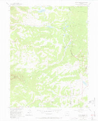 Mount Werner Colorado Historical topographic map, 1:24000 scale, 7.5 X 7.5 Minute, Year 1956