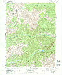 Mount Yale Colorado Historical topographic map, 1:24000 scale, 7.5 X 7.5 Minute, Year 1982