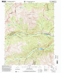 Mount Yale Colorado Historical topographic map, 1:24000 scale, 7.5 X 7.5 Minute, Year 1994