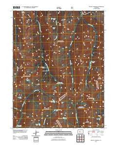 Mount Champion Colorado Historical topographic map, 1:24000 scale, 7.5 X 7.5 Minute, Year 2011