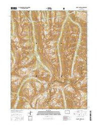 Mount Champion Colorado Current topographic map, 1:24000 scale, 7.5 X 7.5 Minute, Year 2016