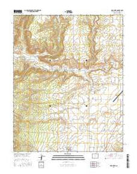 Mud Creek Colorado Current topographic map, 1:24000 scale, 7.5 X 7.5 Minute, Year 2016