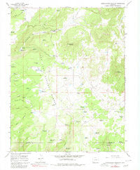 Narraguinnep Mountain Colorado Historical topographic map, 1:24000 scale, 7.5 X 7.5 Minute, Year 1965