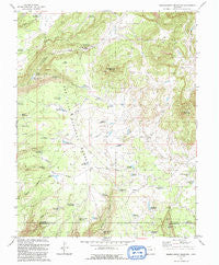 Narraguinnep Mountain Colorado Historical topographic map, 1:24000 scale, 7.5 X 7.5 Minute, Year 1993