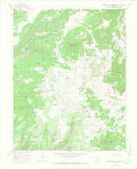 Narraguinnep Mountain Colorado Historical topographic map, 1:24000 scale, 7.5 X 7.5 Minute, Year 1965