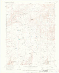 Narraguinnep Mountain Colorado Historical topographic map, 1:24000 scale, 7.5 X 7.5 Minute, Year 1965