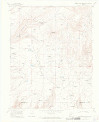 Narraguinnep Mountain Colorado Historical topographic map, 1:24000 scale, 7.5 X 7.5 Minute, Year 1965