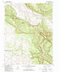 Naturita NW Colorado Historical topographic map, 1:24000 scale, 7.5 X 7.5 Minute, Year 1994
