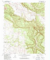 Naturita NW Colorado Historical topographic map, 1:24000 scale, 7.5 X 7.5 Minute, Year 1994