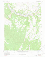 Naturita Colorado Historical topographic map, 1:24000 scale, 7.5 X 7.5 Minute, Year 1964