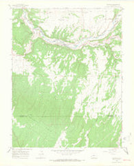 Naturita Colorado Historical topographic map, 1:24000 scale, 7.5 X 7.5 Minute, Year 1964