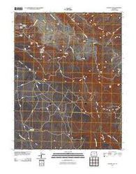 Naturita NW Colorado Historical topographic map, 1:24000 scale, 7.5 X 7.5 Minute, Year 2010