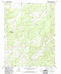 Negro Canyon Colorado Historical topographic map, 1:24000 scale, 7.5 X 7.5 Minute, Year 1994