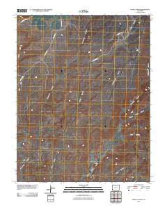 Negro Canyon Colorado Historical topographic map, 1:24000 scale, 7.5 X 7.5 Minute, Year 2010