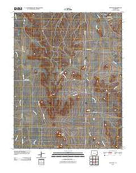 Ninaview Colorado Historical topographic map, 1:24000 scale, 7.5 X 7.5 Minute, Year 2010