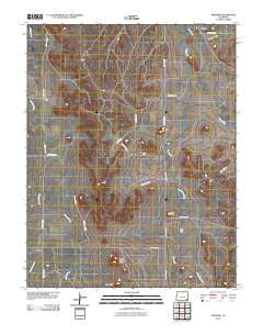 Ninaview Colorado Historical topographic map, 1:24000 scale, 7.5 X 7.5 Minute, Year 2010