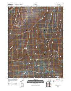 Ninemile Gap Colorado Historical topographic map, 1:24000 scale, 7.5 X 7.5 Minute, Year 2010