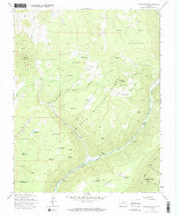 Nipple Mountain Colorado Historical topographic map, 1:24000 scale, 7.5 X 7.5 Minute, Year 1963