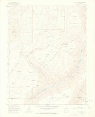 Nipple Mountain Colorado Historical topographic map, 1:24000 scale, 7.5 X 7.5 Minute, Year 1963