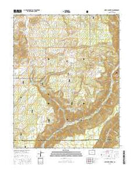Nipple Mountain Colorado Current topographic map, 1:24000 scale, 7.5 X 7.5 Minute, Year 2016