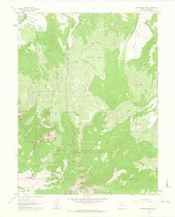 North Mamm Peak Colorado Historical topographic map, 1:24000 scale, 7.5 X 7.5 Minute, Year 1960