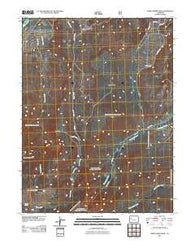 North Mamm Peak Colorado Historical topographic map, 1:24000 scale, 7.5 X 7.5 Minute, Year 2011