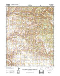 Nucla Colorado Historical topographic map, 1:24000 scale, 7.5 X 7.5 Minute, Year 2013