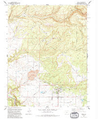 Nucla Colorado Historical topographic map, 1:24000 scale, 7.5 X 7.5 Minute, Year 1994