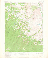 Old Roach Colorado Historical topographic map, 1:24000 scale, 7.5 X 7.5 Minute, Year 1955