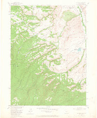 Old Roach Colorado Historical topographic map, 1:24000 scale, 7.5 X 7.5 Minute, Year 1955