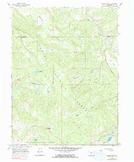 Pagoda Peak Colorado Historical topographic map, 1:24000 scale, 7.5 X 7.5 Minute, Year 1966