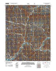 Pagosa Junction Colorado Historical topographic map, 1:24000 scale, 7.5 X 7.5 Minute, Year 2011