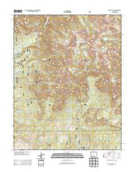 Pagosa Peak Colorado Historical topographic map, 1:24000 scale, 7.5 X 7.5 Minute, Year 2013