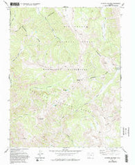 Palomino Mountain Colorado Historical topographic map, 1:24000 scale, 7.5 X 7.5 Minute, Year 1973