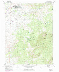 Paonia Colorado Historical topographic map, 1:24000 scale, 7.5 X 7.5 Minute, Year 1965