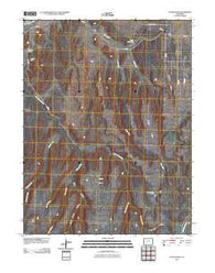 Payne Wash Colorado Historical topographic map, 1:24000 scale, 7.5 X 7.5 Minute, Year 2010