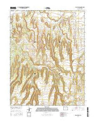 Payne Wash Colorado Current topographic map, 1:24000 scale, 7.5 X 7.5 Minute, Year 2016