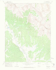 Pieplant Colorado Historical topographic map, 1:24000 scale, 7.5 X 7.5 Minute, Year 1967