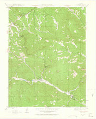 Pine Colorado Historical topographic map, 1:24000 scale, 7.5 X 7.5 Minute, Year 1945