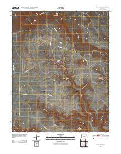Pine Canyon Colorado Historical topographic map, 1:24000 scale, 7.5 X 7.5 Minute, Year 2010