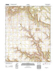 Pine Canyon Colorado Historical topographic map, 1:24000 scale, 7.5 X 7.5 Minute, Year 2013