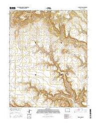 Pine Canyon Colorado Current topographic map, 1:24000 scale, 7.5 X 7.5 Minute, Year 2016