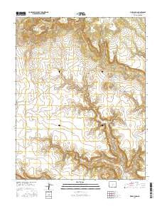 Pine Canyon Colorado Current topographic map, 1:24000 scale, 7.5 X 7.5 Minute, Year 2016
